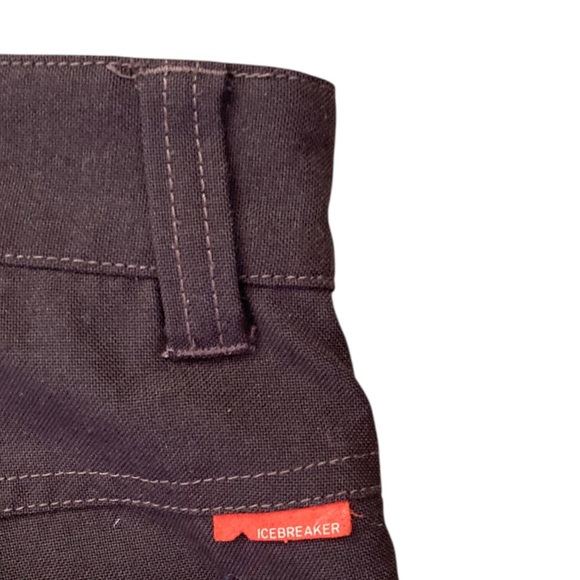 Icebreaker Wool Blend Cargo Pants Men’s Brown Gorpcore Casual - Picture 5 of 8